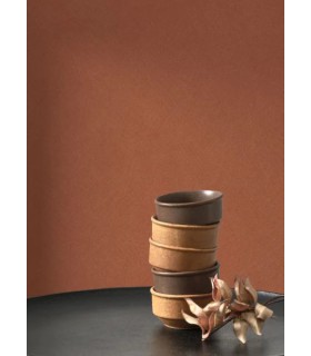 PP CASAD. NEST BRIQUE 20100 VI