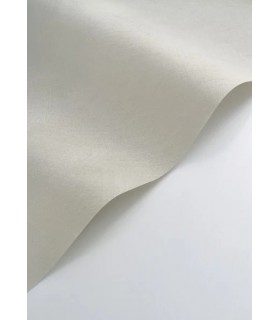 Papier peint Casadeco - Nest gris plume - 20100