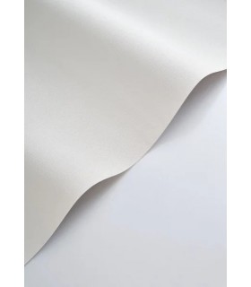 Papier peint Casadeco - Caractère blanc polaire - 20117