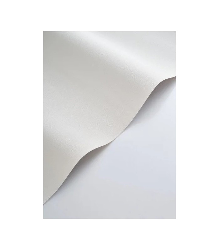 Papier peint Casadeco - Caractère blanc polaire - 20117