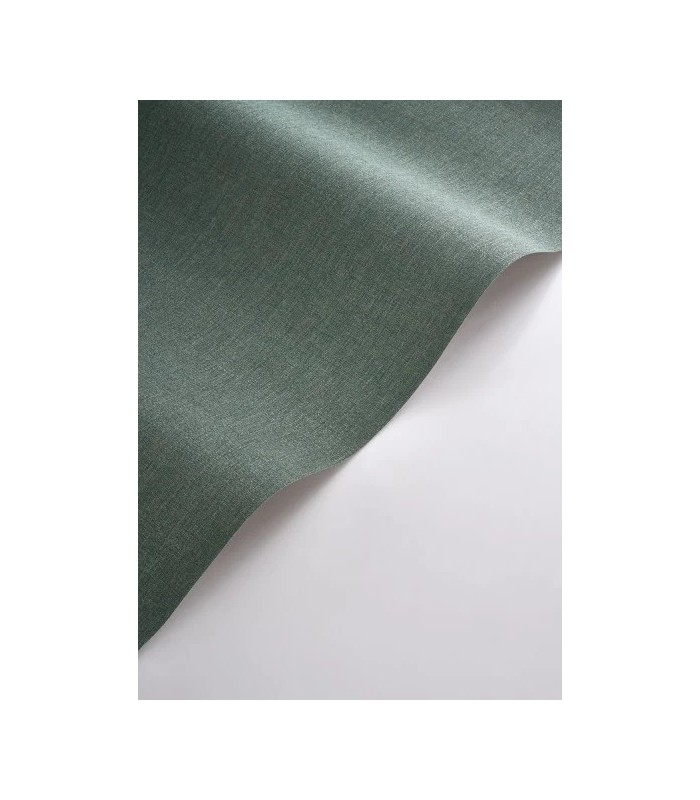 PP CASAD. CARACTERE BLEU PAON 20117 VI