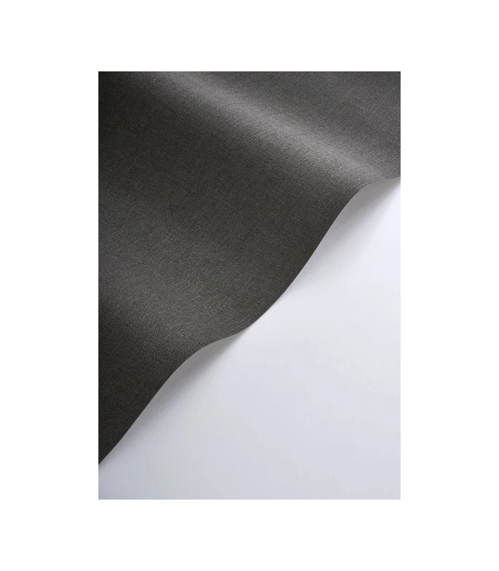 Papier peint Casadeco - Caractère noir réglisse - 20117