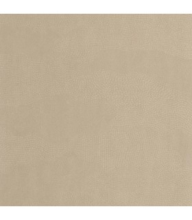 PP CASAD. NUBIO BEIGE LIN 20113 VINT10