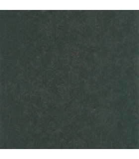 PP CASAD. TARRAZU EMERAUDE 20127 VUNT1