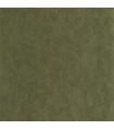 Papier peint Casadeco - Tarrazu Vert canopée - 20127