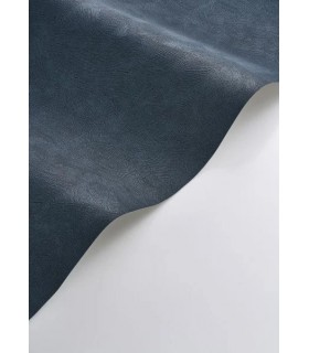 PP CASAD. CÔTE D'OPALE BLEU O. 20149 VINT