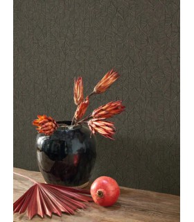 PP CASAD. TARRAZU NOIR FUSAIN 20127 VUNT1