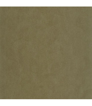 Papiers peints unis