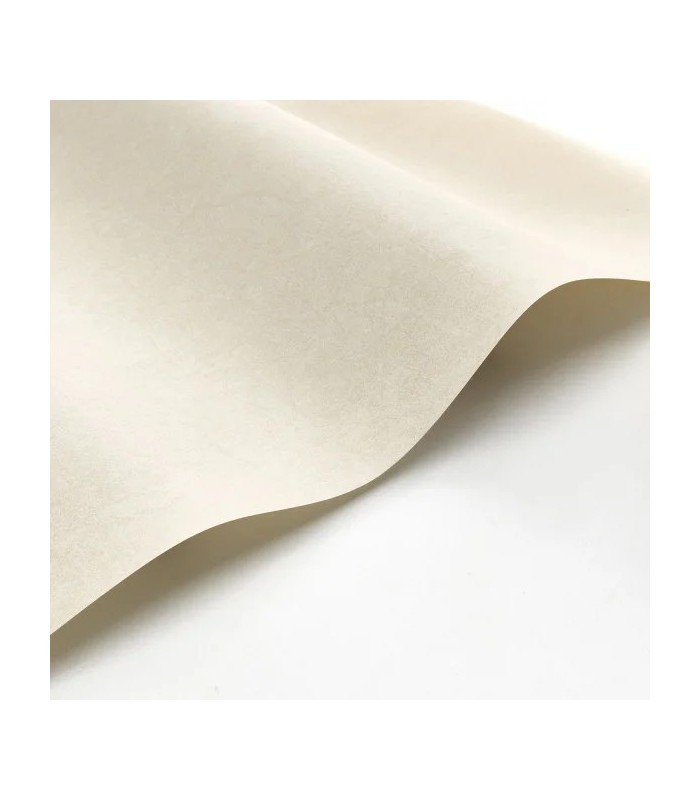Papier peint Casadeco - Cotton Touch Beige - 8238