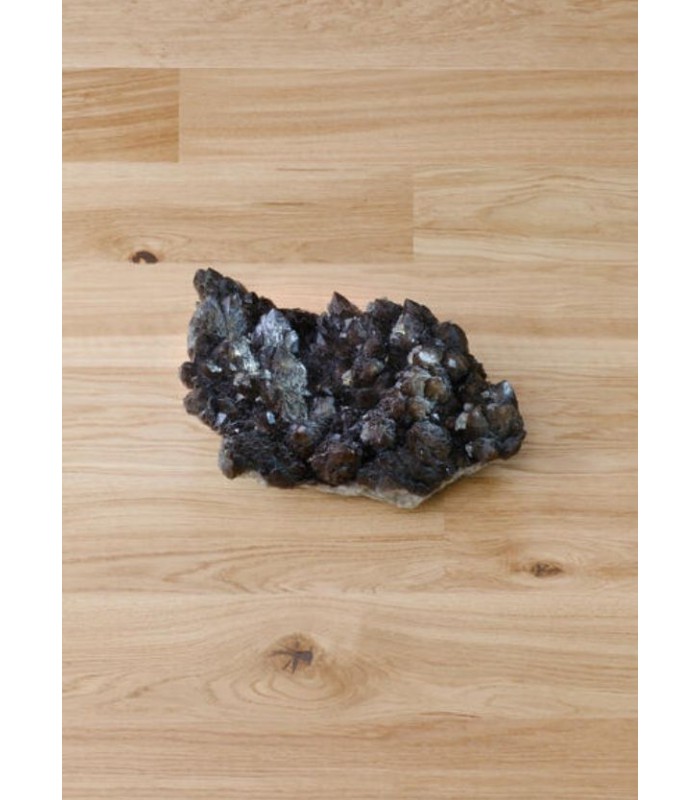 Exclusif Regular Long Authentique 01 Lumia