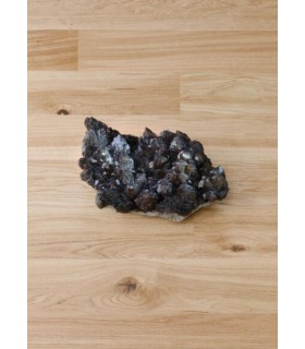 Exclusif XL Authentique 01 Lumia