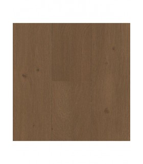 Exclusif XLL Long Authentique 01 Toundra