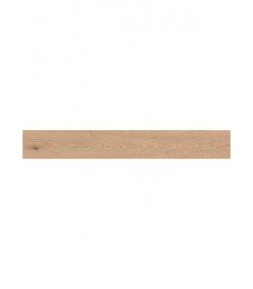 Essentiel XL 2,5 - Authentique 01 Nude