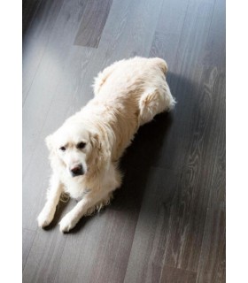 Parquet contrecollé Iconics Design XL Long Oak Harmony Abyss Berry Alloc