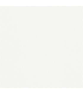 ERISMANN Papier Peint Vinyle Grainé sur Intissé Crème - réf. 6342-01
