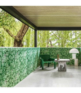 Papier peint FOGLIE E CIVETTE - Collection FORNASETTI SENZA TEMPO 2 - COLE&SON - REF 123/11054