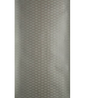 Papier Peint LATTICE - REF 35-04 - CORE METALLISE Farrow & Ball