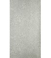 Papier Peint OCELOT - REF 37-03 - CORE METALLISE Farrow & Ball