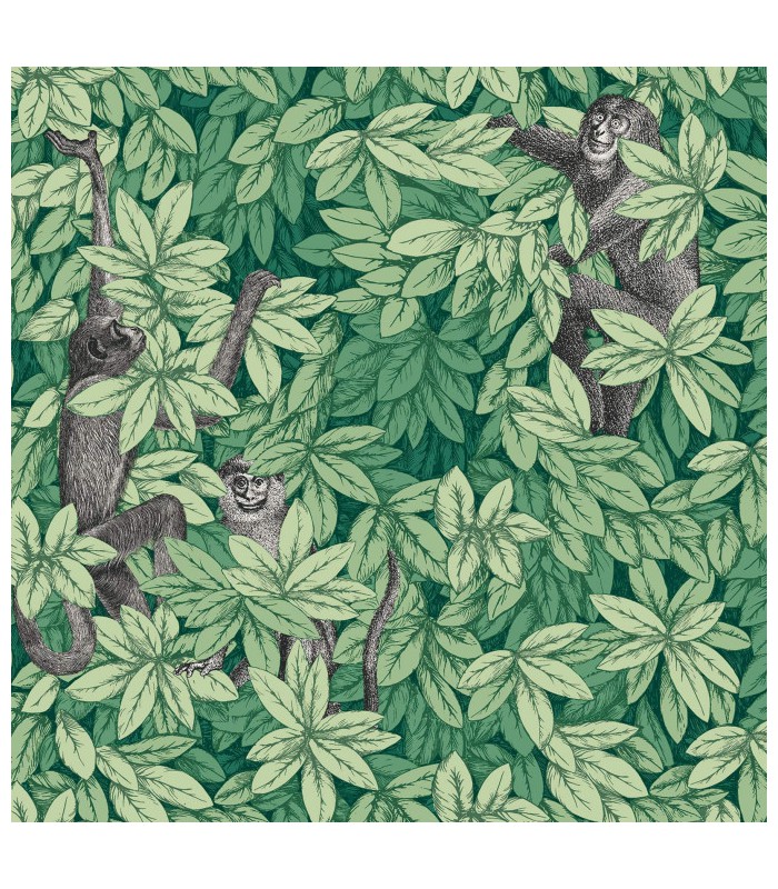Papier peint FOGLIE E SCIMMIE - Collection FORNASETTI SENZA TEMPO 2 - COLE&SON - REF 123/10049