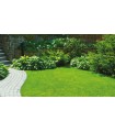 Gazon synthétique 22 mm - St Tropez - Rouleau - 1m x 3m