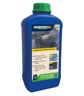 ProtectGuard EM Premium effet mouillé intense Hydrofuge Oléofuge Anti-tâches - Formule végétale