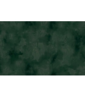 Papier peint ELITIS - VP960-61 - Collection Ortigia - 10x0,70m