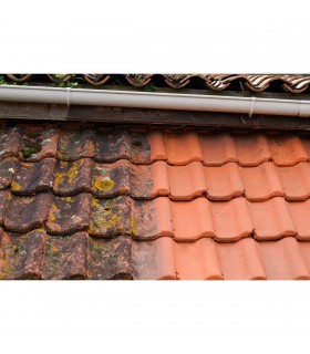 Anti M Guard 2 en 1 concentré nettoyant fongicide hydrofuge terrasses toitures façades