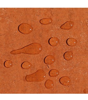 Anti M Guard 2 en 1 concentré nettoyant fongicide hydrofuge terrasses toitures façades