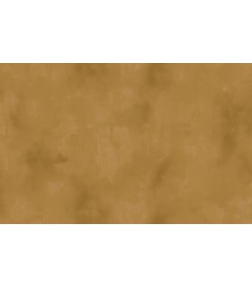 Papier peint ELITIS - VP960-22 - Collection Ortigia - 10x0,70m