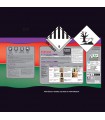 Xylophene Bois Extérieurs Evo+ - Traitement insecticide et fongicide