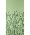 Papier Peint FEATHER GRASS - REF 51-05 - CORE FARROW&BALL