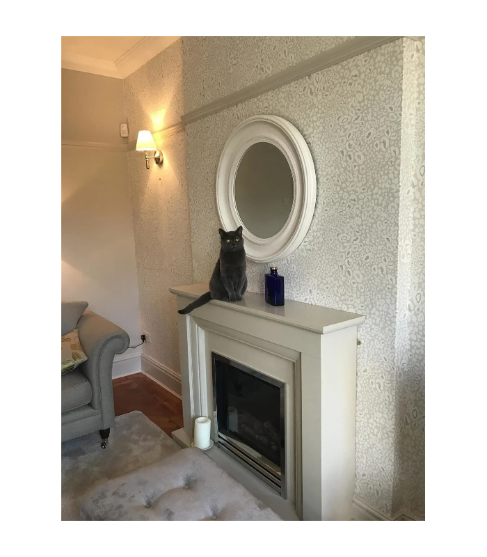 Papier Peint OCELOT - REF 37-01 - CORE FARROW&BALL