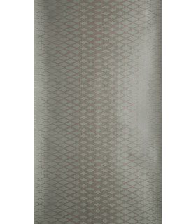 Papier Peint LATTICE - REF 35-04 - CORE METALLISE FARROW&BALL