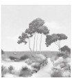 Panoramique Caselio Seaside noir et blanc 300 x 310 cm 107270909 - Moonlight 3 de Casélio