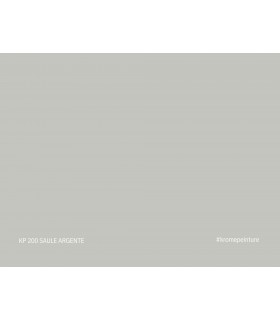 Échantillon de peinture repositionnable Stick'N'Test Krome Evasion 20x15 cm