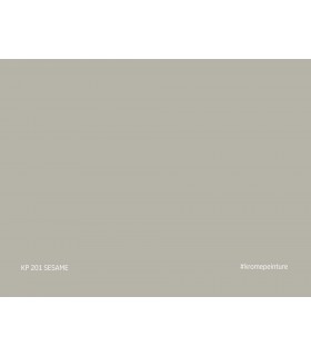 Échantillon de peinture repositionnable Stick'N'Test Krome Evasion 20x15 cm