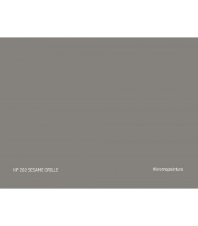 Échantillon de peinture repositionnable Stick'N'Test Krome Evasion 20x15 cm