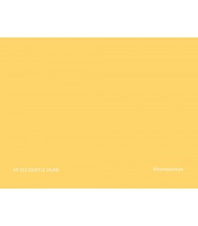 Échantillon de peinture repositionnable Stick'N'Test Krome Evasion 20x15 cm