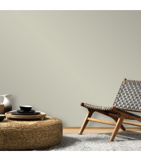 ERISMANN Papier Peint Vinyle Grainé sur Intissé Toile réf. 10140-10