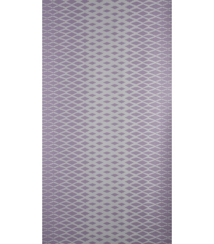 Papier Peint LATTICE - REF 35-05 - CORE FARROW&BALL