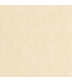 Papier peint VALLAURIS SABLE - Collection Échappée Belle - CASADECO - Réf.ECHA89851141