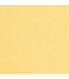 Papier peint VALLAURIS JAUNE SOLEIL - Collection Échappée Belle - CASADECO - Réf.ECHA89852303