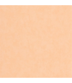 Papier peint VALLAURIS ABRICOT - Collection Échappée Belle - CASADECO - Réf.ECHA89853232