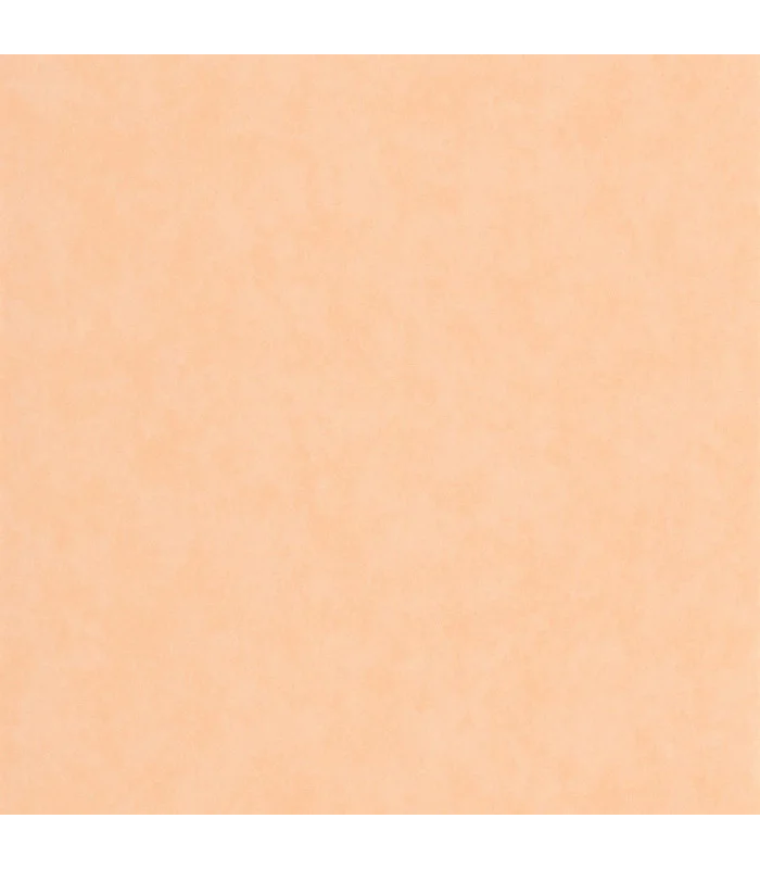 Papier peint VALLAURIS ABRICOT - Collection Échappée Belle - CASADECO - Réf.ECHA89853232