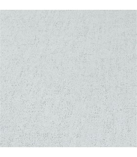 ERISMANN Papier peint vinyle expansé intissé béton gris 10066-31