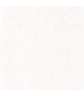 Papier Peint BETON UNI BLANC - Collection COLOR BOX 3 - CASELIO - Réf. CB3101480000