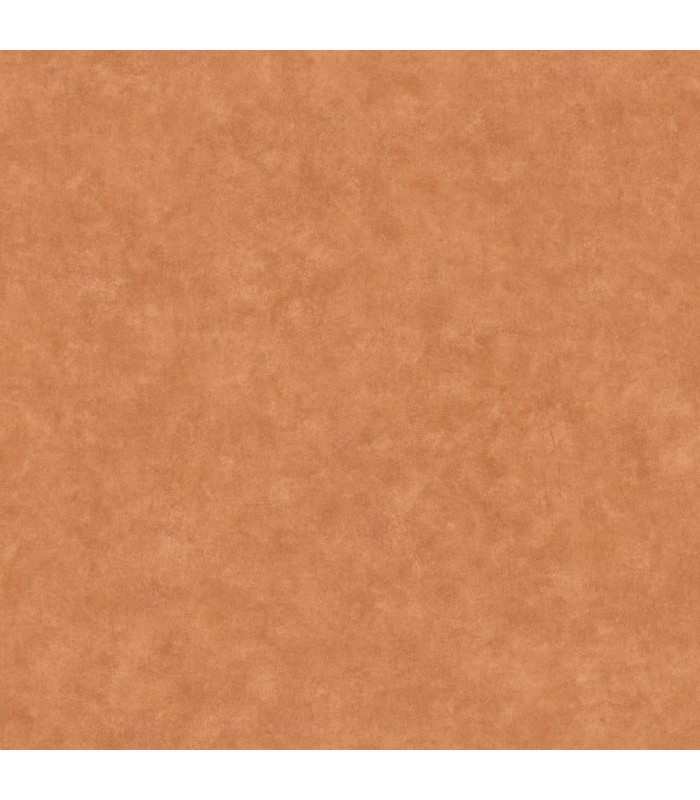 Papier Peint BETON UNI ACAJOU - Collection COLOR BOX 3 - CASELIO - Réf. CB3101483434