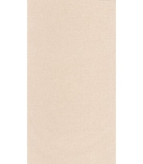 Papier Peint UNI MAT BEIGE - Collection COLOR BOX 3 - CASELIO - Réf. CB3103221000