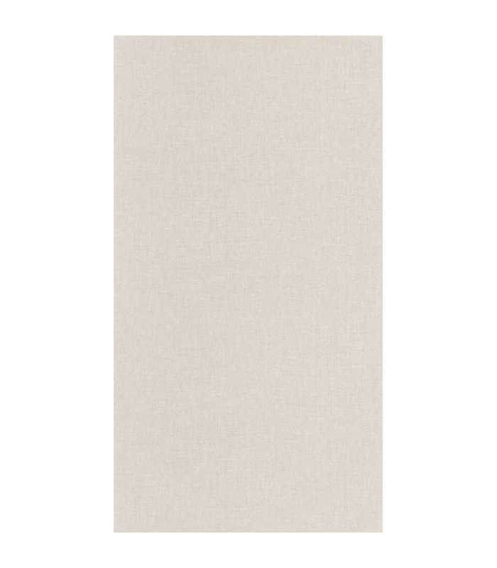 Papier Peint UNI MAT GREGE - Collection COLOR BOX 3 - CASELIO - Réf. CB3103221818