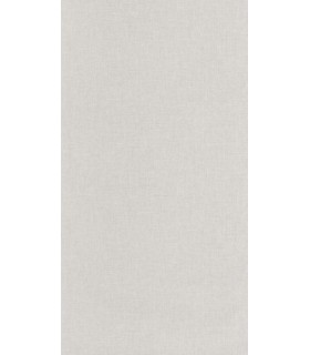 Papier Peint UNI MAT GRIS ETAIN - Collection COLOR BOX 3 - CASELIO - Réf. CB3103229123